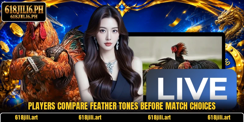 Players compare feather tones before match choices