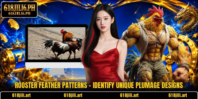 Rooster Feather Patterns – Identify Unique Plumage Designs